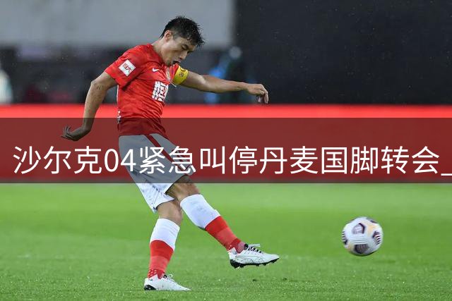 沙尔克04紧急叫停丹麦国脚转会 关键条款谈判陷入僵局