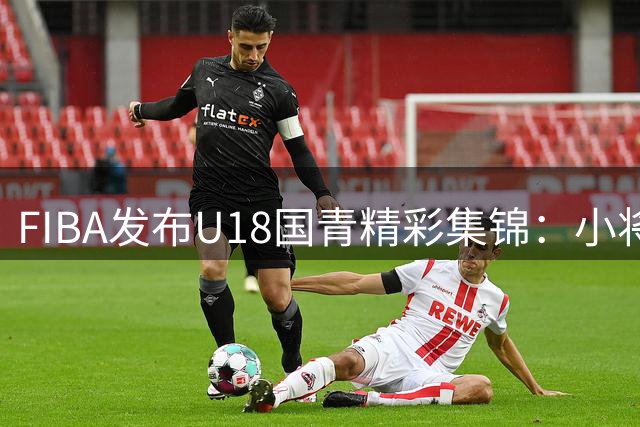 FIBA发布U18国青精彩集锦：小将"一休哥"火力全开势不可挡